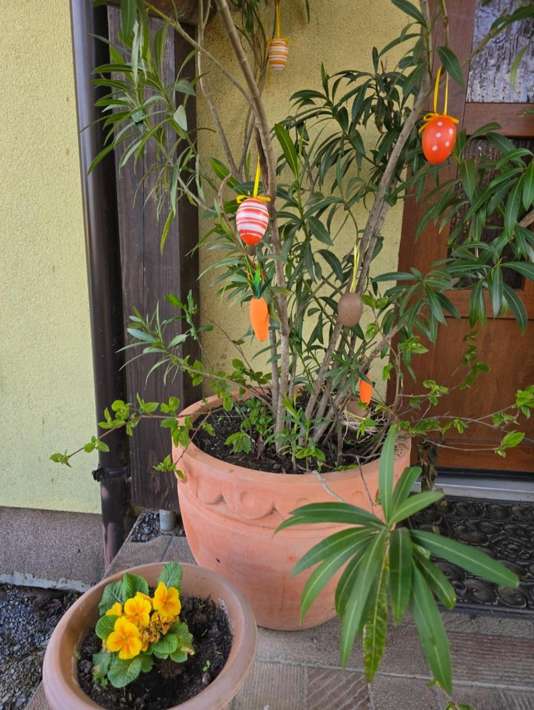 ביילובאר Rooms & Apartment Vinia מראה חיצוני תמונה